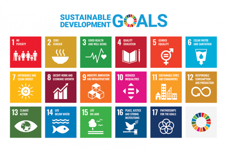 Consensus and dissensus in ‘mappings’ of science for Sustainable Development Goals (SDGs)